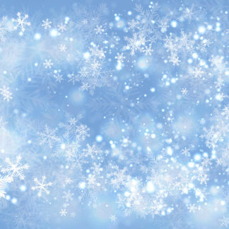 FTALE10 Enchanted Snow